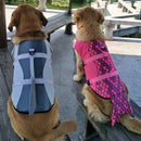Colete Salva-Vidas Para Cachorros - Dog Floater